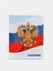 Желтый дневник школьный
