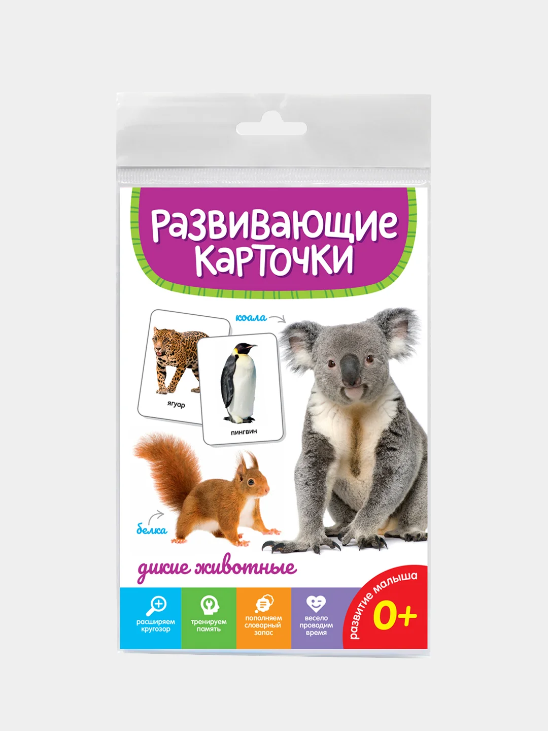 Фиолетовый развивающие карточки для детей двусторонние 19 шт. 120х180 мм. Проф-Пресс
