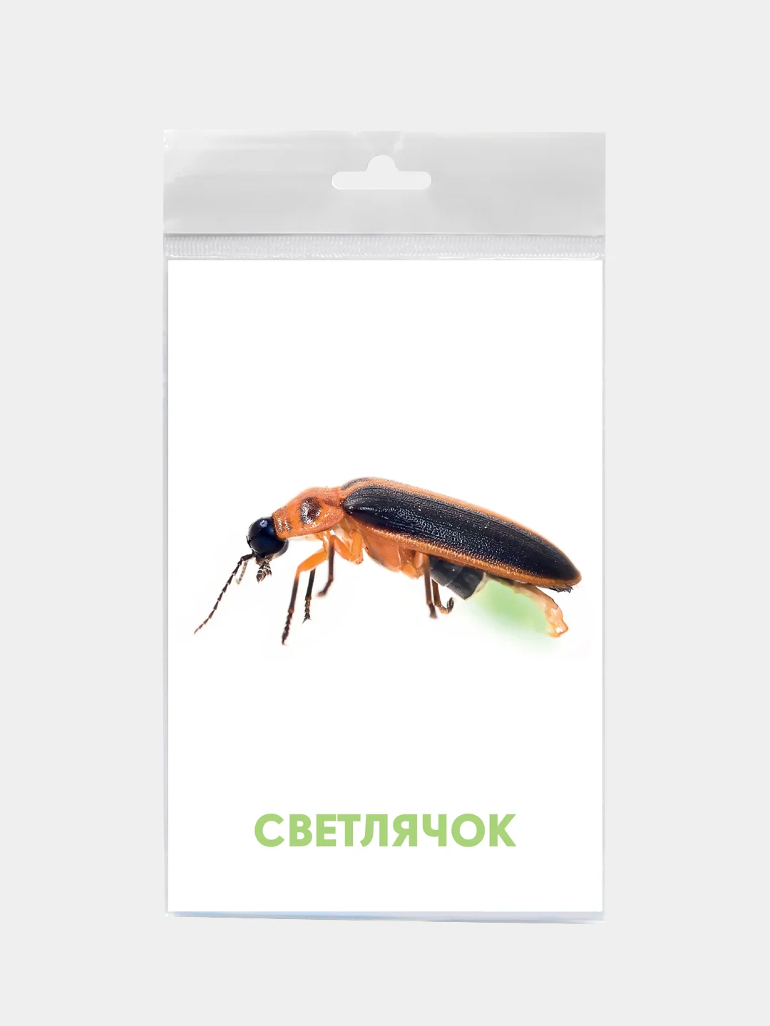 Розовый развивающие карточки для детей двусторонние 19 шт. 120х180 мм. Проф-Пресс