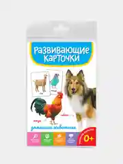 Голубой развивающие карточки для детей двусторонние 19 шт. 120х180 мм. Проф-Пресс