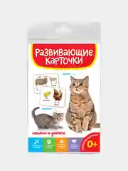 Красный развивающие карточки для детей двусторонние 19 шт. 120х180 мм. Проф-Пресс