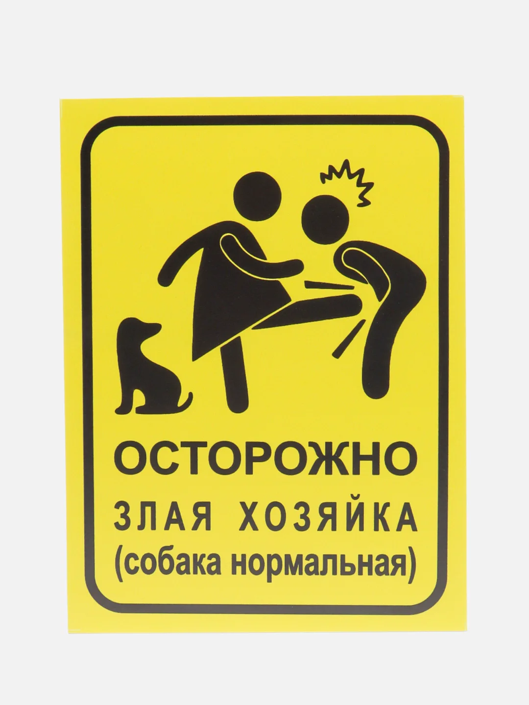 Лимонный таблички "Осторожно! Злая собака", " Ведется видеонаблюдение", "Посторонним вход запрещен"