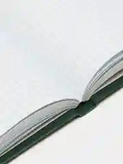 Книга учета 96 листов клетка, твердая, бумвинил, наклейка, А4, Brauberg, зеленая, 130280