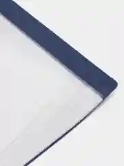 Папка для документов и бумаг канцелярская с файлами / вкладышами STAFF, 0,5 мм, 225704