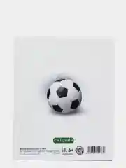 Дневник школьный, для 1-11 классов, в твёрдой обложке