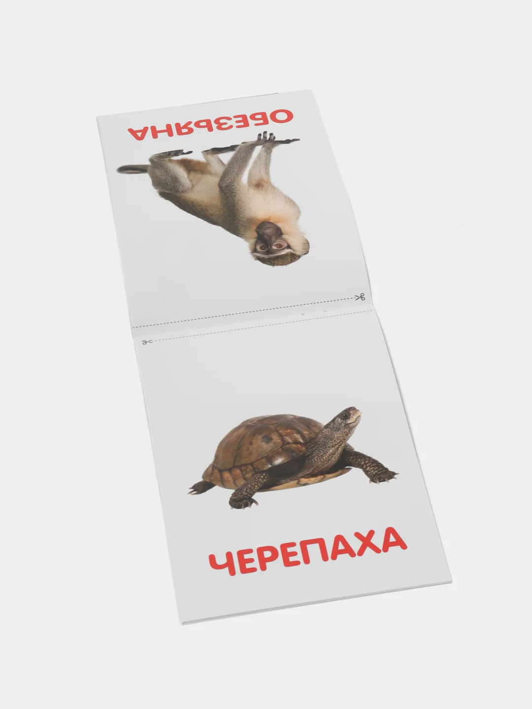 Обучающая книжка по методике Г. Домана Животные Африки, 20 страниц