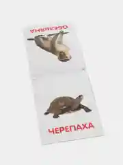 Обучающая книжка по методике Г. Домана Животные Африки, 20 страниц