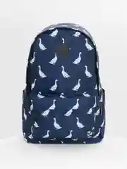 Рюкзак школьный для девочки подростка Brauberg Positive карман-антивор, Ducks 271681