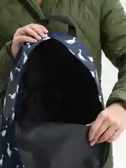 Рюкзак школьный для девочки подростка Brauberg Positive карман-антивор, Ducks 271681