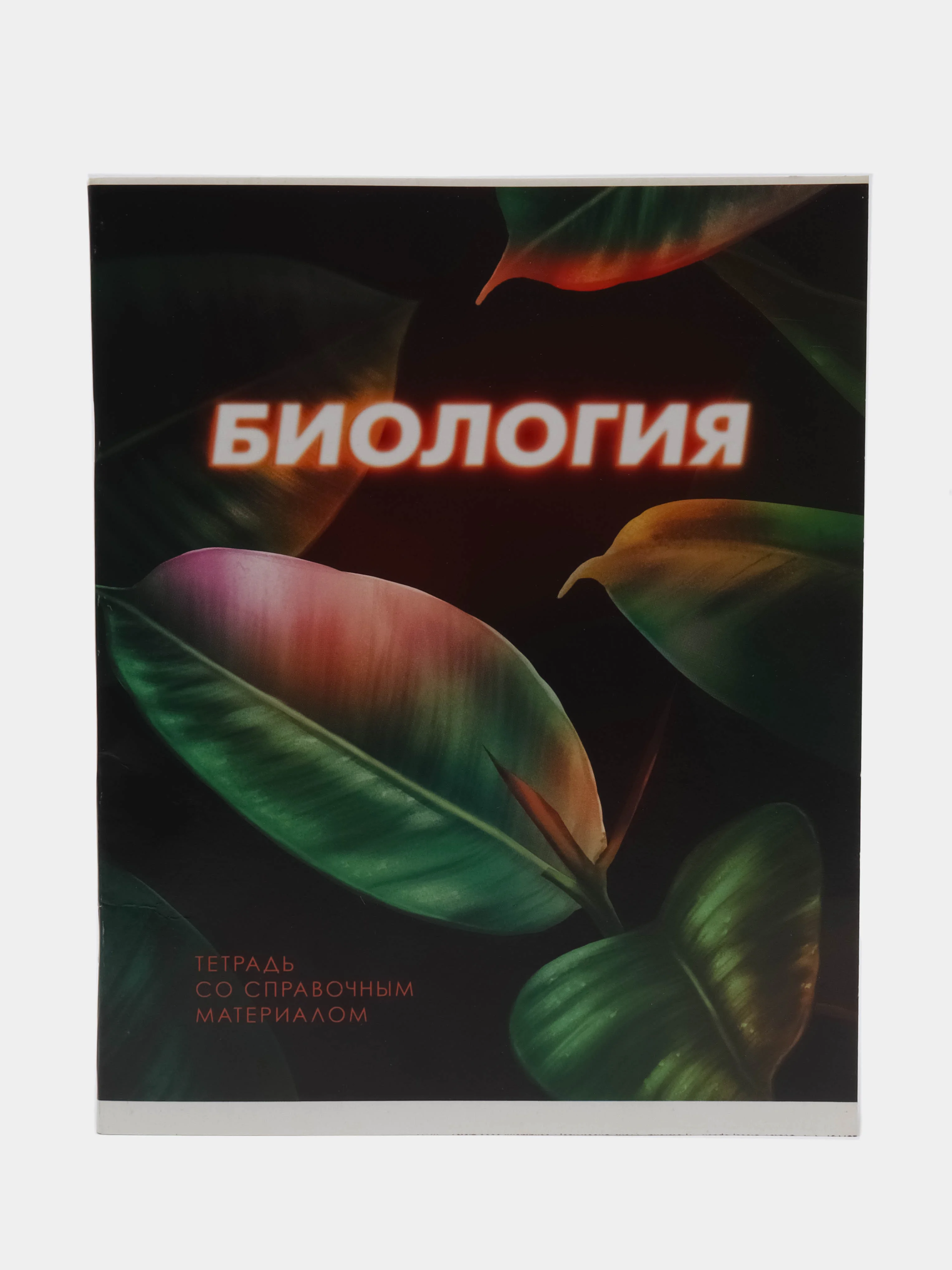 Салатовый тетрадь предметная