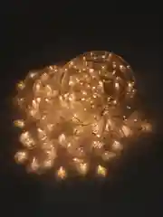 Желтый гирлянда-штора, 2 вида, 2,8 х 0,9, LED