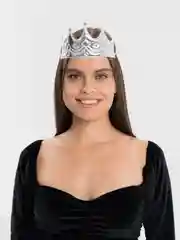 Серебряный корона карнавальная