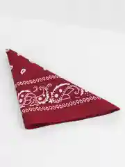 Бордовый бандана с классическим принтом