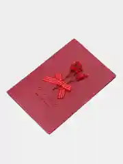 Красный арт Открытки с настоящими сухими цветами, 10*14,5 см, в конверте. Гербарий