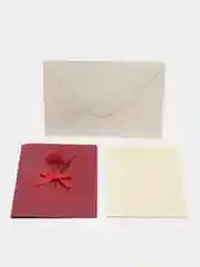 Красный арт Открытки с настоящими сухими цветами, 10*14,5 см, в конверте. Гербарий