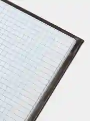 Книга учета  клетка