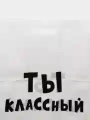 Вишнёвый пакет с приколами большой 35х45/ пакет полиэтиленовый с вырубной ручкой 35 х 45 см, 60 мкм