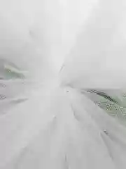 Белый банты новогодние