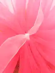 Коралловый банты новогодние