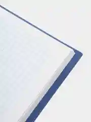 Книга канцелярская 96 листов клетка, твердая, глянцевая, А4 (215х295 мм), Brauberg, 130065