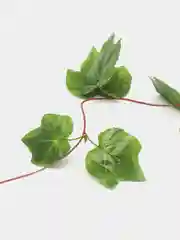 Искусственные цветы Лианы, настенная искусственная лиана, искусственные листья для декора