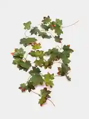 Искусственные цветы Лианы, настенная искусственная лиана, искусственные листья для декора