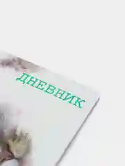 Серый дневник школьный, для 1-11 классов, в твёрдой обложке