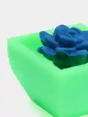 Растущие растения, разные цвета