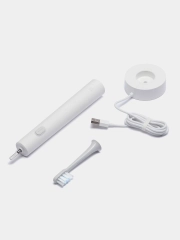 Электрическая зубная щетка Xiaomi Mijia Sonic Electric Toothbrush T301 MES605