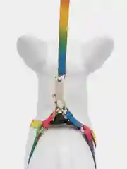 Разноцветный шлейка с поводком для кошек, кроликов, щенков и мелких пород собак