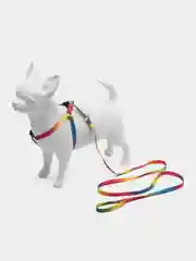 Разноцветный шлейка с поводком для кошек, кроликов, щенков и мелких пород собак