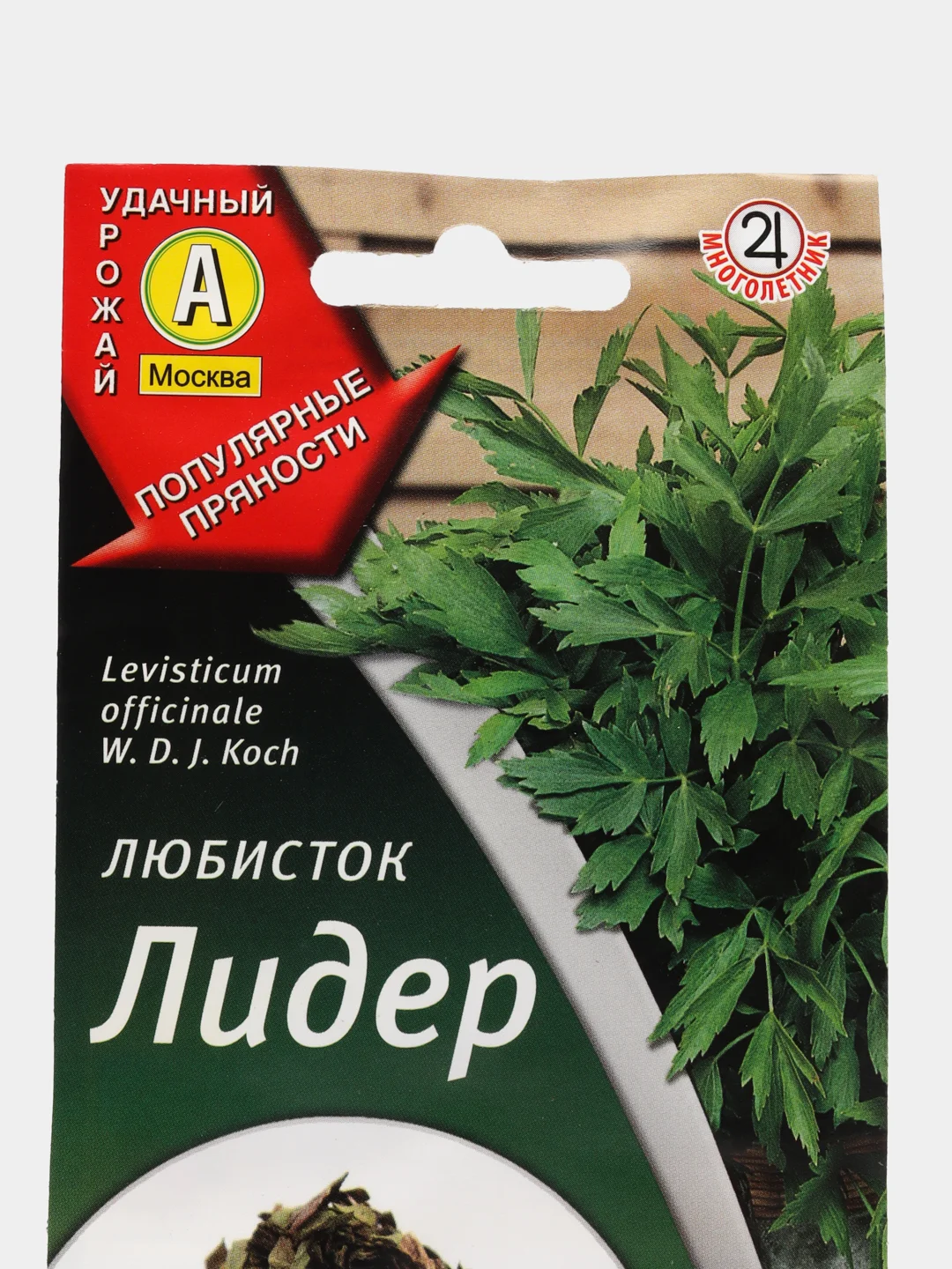 Любисток Лидер, семена