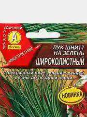 Лук шнитт на зелень Широколистный, семена