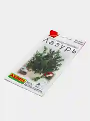 Иссоп лекарственный "Лазурь", семена
