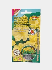 Настурция "Сахарный лимон" персик, горшечная, карликовая, семена, цветы