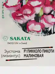 Эустома Пикколо Пикоти малиновая, семена, цветы