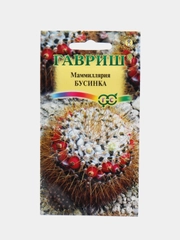 Маммиллярия кактус Бусинка, семена, цветы