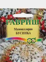 Маммиллярия кактус Бусинка, семена, цветы
