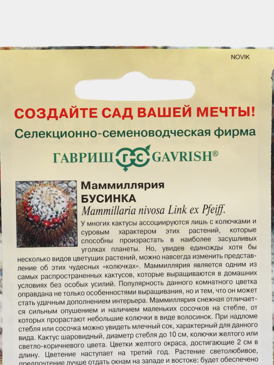 Маммиллярия кактус Бусинка, семена, цветы