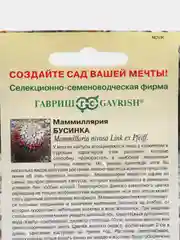 Маммиллярия кактус Бусинка, семена, цветы