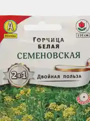 Горчица белая Семеновская, семена, цветы