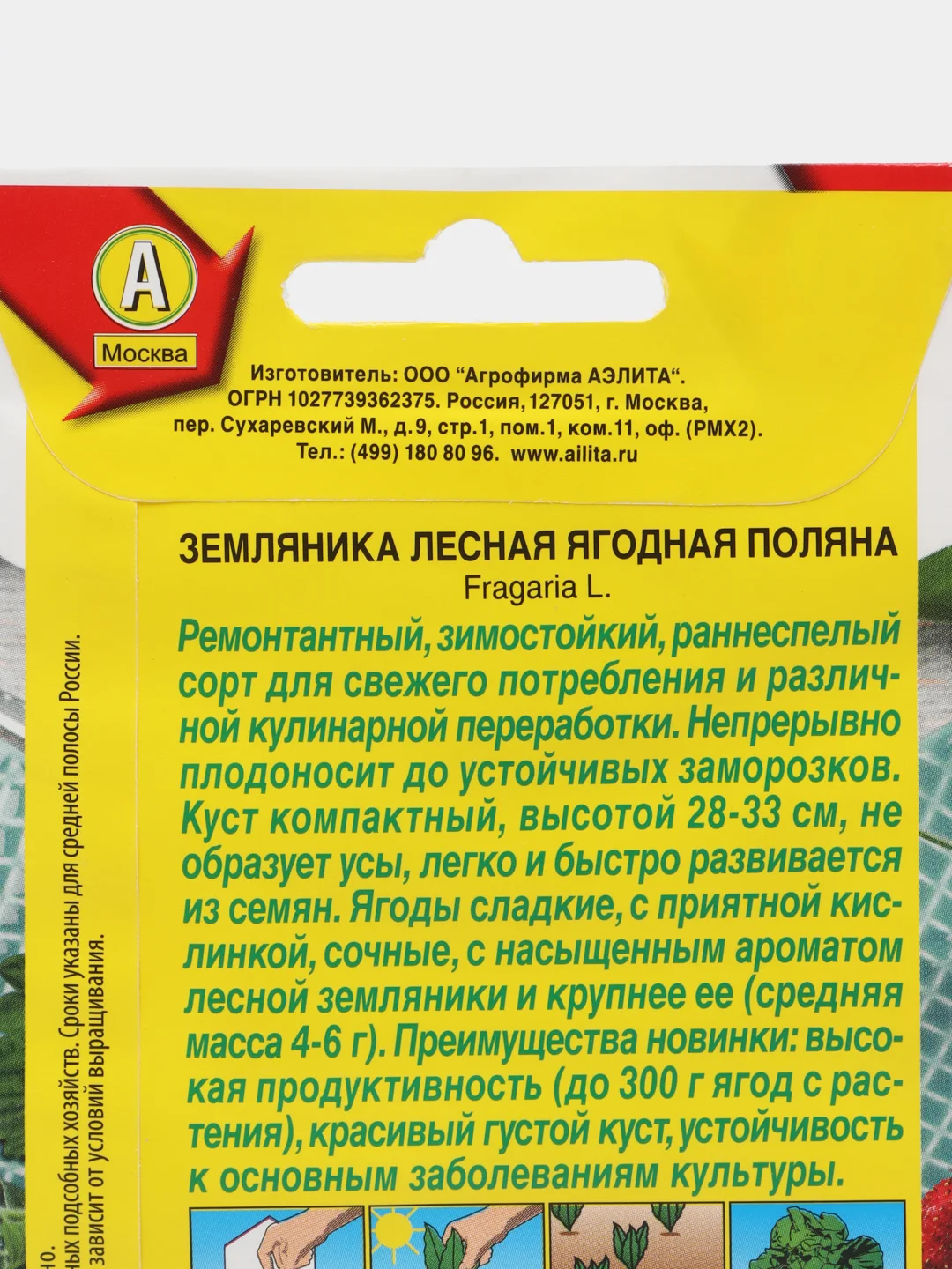 Земляника лесная Ягодная поляна, семена