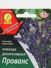 Лаванда декоративная Прованс, семена, цветы