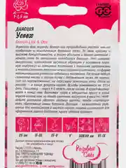 Диасция Успех (семена,цветы)