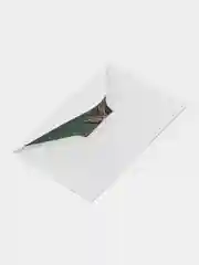 Тёмно-бирюзовый арт Открытки с настоящими сухими цветами, 10*14,5 см, в конверте. Гербарий