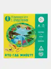 Развивающая детская игра с прищепками