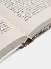 Безумие толпы, Мюррей Д.