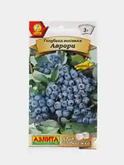 Голубика Аврора (семена)