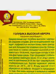 Голубика Аврора (семена)