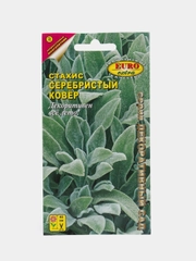 Стахис Серебристый ковер, семена, цветы